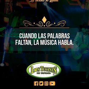 Meet your Posher, Reyna